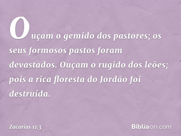 Ouçam o gemido dos pastores;
os seus formosos pastos
foram devastados.
Ouçam o rugido dos leões;
pois a rica floresta do Jordão
foi destruída. -- Zacarias 11:3