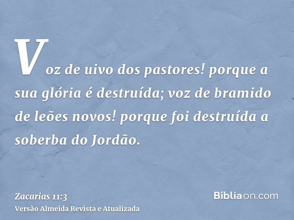 Voz de uivo dos pastores! porque a sua glória é destruída; voz de bramido de leões novos! porque foi destruída a soberba do Jordão.