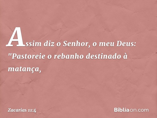 Assim diz o Senhor, o meu Deus: "Pastoreie o rebanho destinado à matança, -- Zacarias 11:4