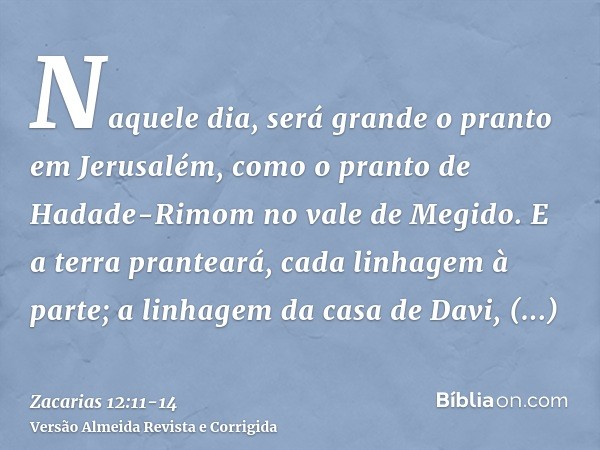 Naquele dia, será grande o pranto em Jerusalém, como o pranto de Hadade-Rimom no vale de Megido.E a terra pranteará, cada linhagem à parte; a linhagem da casa d