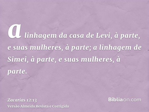 a linhagem da casa de Levi, à parte, e suas mulheres, à parte; a linhagem de Simei, à parte, e suas mulheres, à parte.