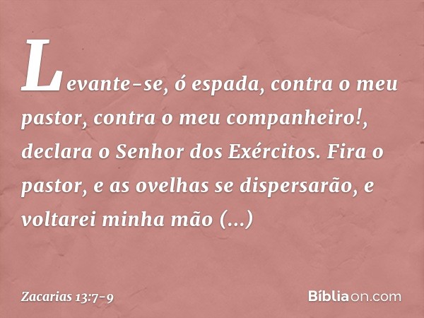 "Levante-se, ó espada,
contra o meu pastor,
contra o meu companheiro!",
declara o Senhor dos Exércitos.
"Fira o pastor,
e as ovelhas se dispersarão,
e voltarei 