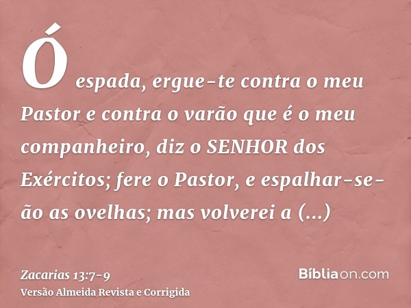 Ó espada, ergue-te contra o meu Pastor e contra o varão que é o meu companheiro, diz o SENHOR dos Exércitos; fere o Pastor, e espalhar-se-ão as ovelhas; mas vol