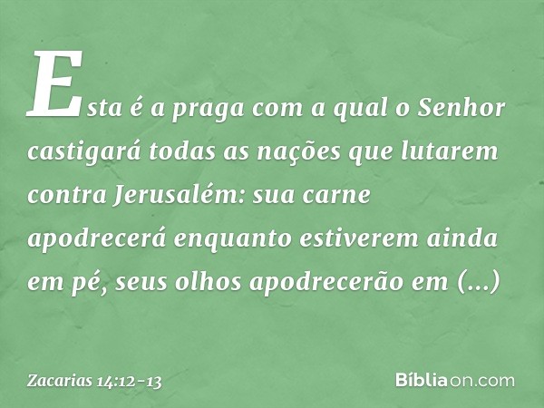 Esta é a praga com a qual o Senhor castigará todas as nações que lutarem contra Jerusalém: sua carne apodrecerá enquanto estiverem ainda em pé, seus olhos apodr