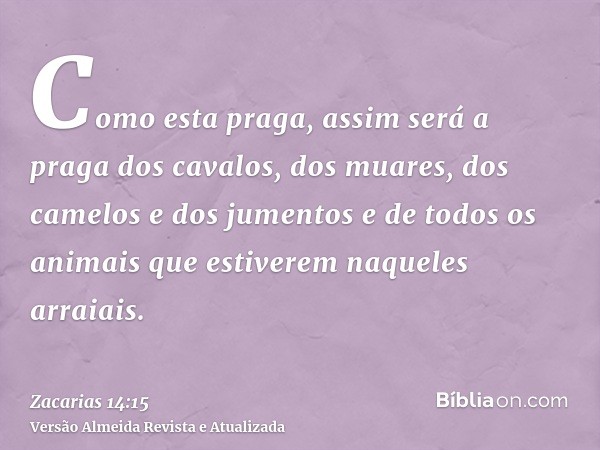 Como esta praga, assim será a praga dos cavalos, dos muares, dos camelos e dos jumentos e de todos os animais que estiverem naqueles arraiais.