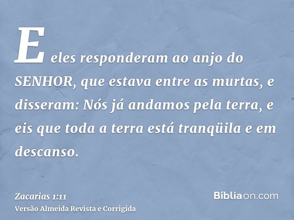E eles responderam ao anjo do SENHOR, que estava entre as murtas, e disseram: Nós já andamos pela terra, e eis que toda a terra está tranqüila e em descanso.