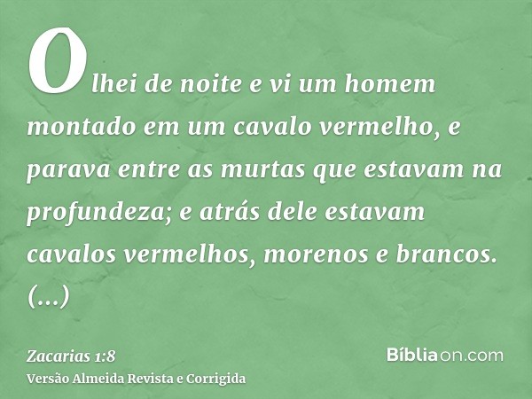 Olhei de noite e vi um homem montado em um cavalo vermelho, e parava entre as murtas que estavam na profundeza; e atrás dele estavam cavalos vermelhos, morenos 