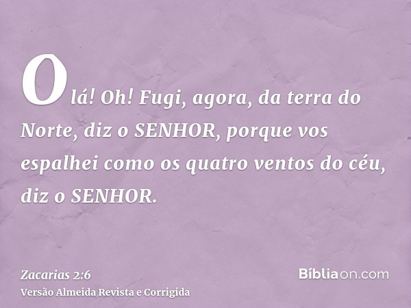 Olá! Oh! Fugi, agora, da terra do Norte, diz o SENHOR, porque vos espalhei como os quatro ventos do céu, diz o SENHOR.