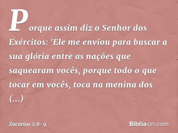 Porque assim diz o Senhor dos Exércitos: 'Ele me enviou para buscar a sua glória entre as nações que saquearam vocês, porque todo o que tocar em vocês, toca na 