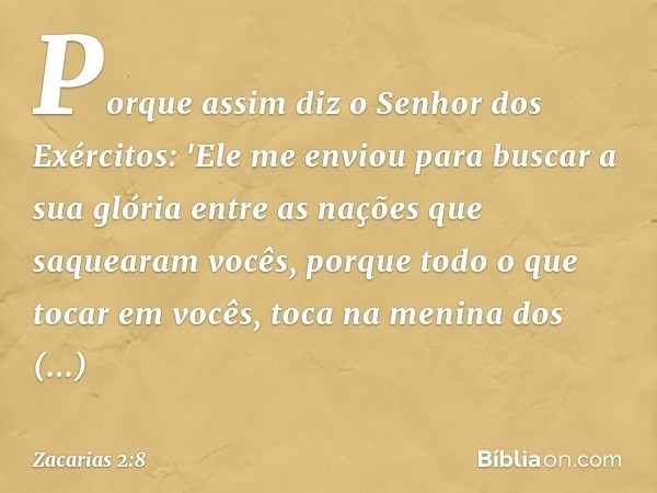 Porque assim diz o Senhor dos Exércitos: 'Ele me enviou para buscar a sua glória entre as nações que saquearam vocês, porque todo o que tocar em vocês, toca na 