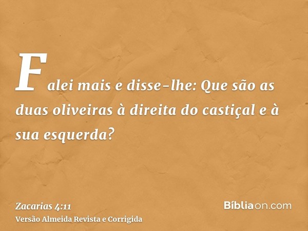 Falei mais e disse-lhe: Que são as duas oliveiras à direita do castiçal e à sua esquerda?