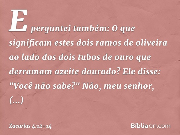 E perguntei também: O que significam estes dois ramos de oliveira ao lado dos dois tubos de ouro que derramam azeite dourado? Ele disse: "Você não sabe?"
Não, m