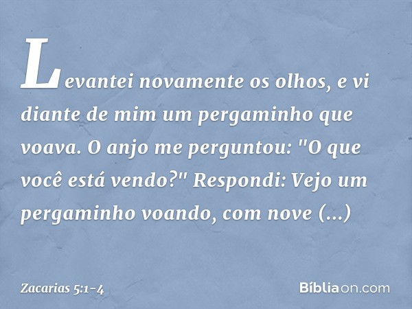 Levantei novamente os olhos, e vi diante de mim um pergaminho que voava. O anjo me perguntou: "O que você está vendo?"
Respondi: Vejo um pergaminho voan­do, com