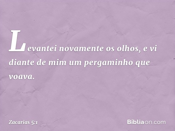 Levantei novamente os olhos, e vi diante de mim um pergaminho que voava. -- Zacarias 5:1