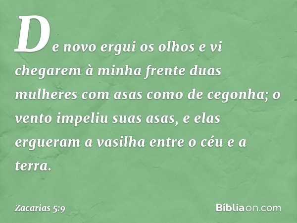 De novo ergui os olhos e vi chegarem à minha frente duas mulheres com asas como de cegonha; o vento impeliu suas asas, e elas ergueram a vasilha entre o céu e a