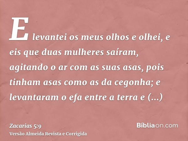 E levantei os meus olhos e olhei, e eis que duas mulheres saíram, agitando o ar com as suas asas, pois tinham asas como as da cegonha; e levantaram o efa entre 