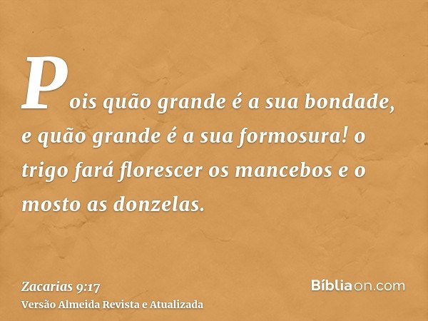 Pois quão grande é a sua bondade, e quão grande é a sua formosura! o trigo fará florescer os mancebos e o mosto as donzelas.