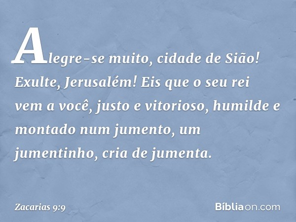 Alegre-se muito, cidade de Sião!
Exulte, Jerusalém!
Eis que o seu rei vem a você,
justo e vitorioso,
humilde e montado num jumento,
um jumentinho, cria de jumen